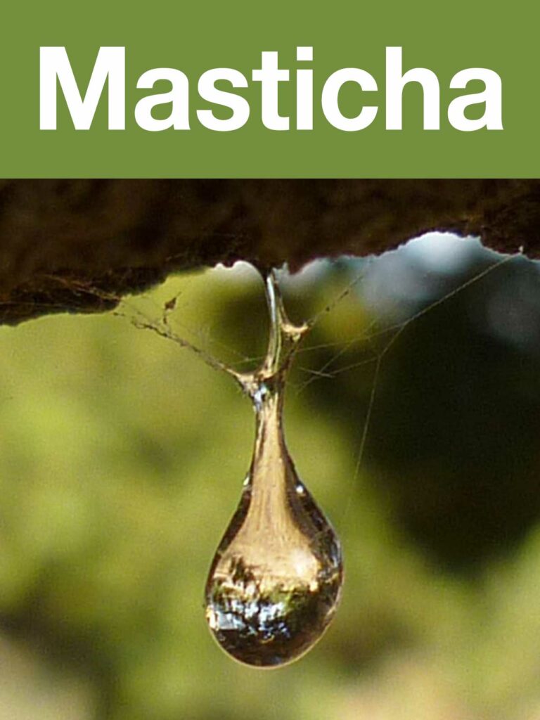 masticha